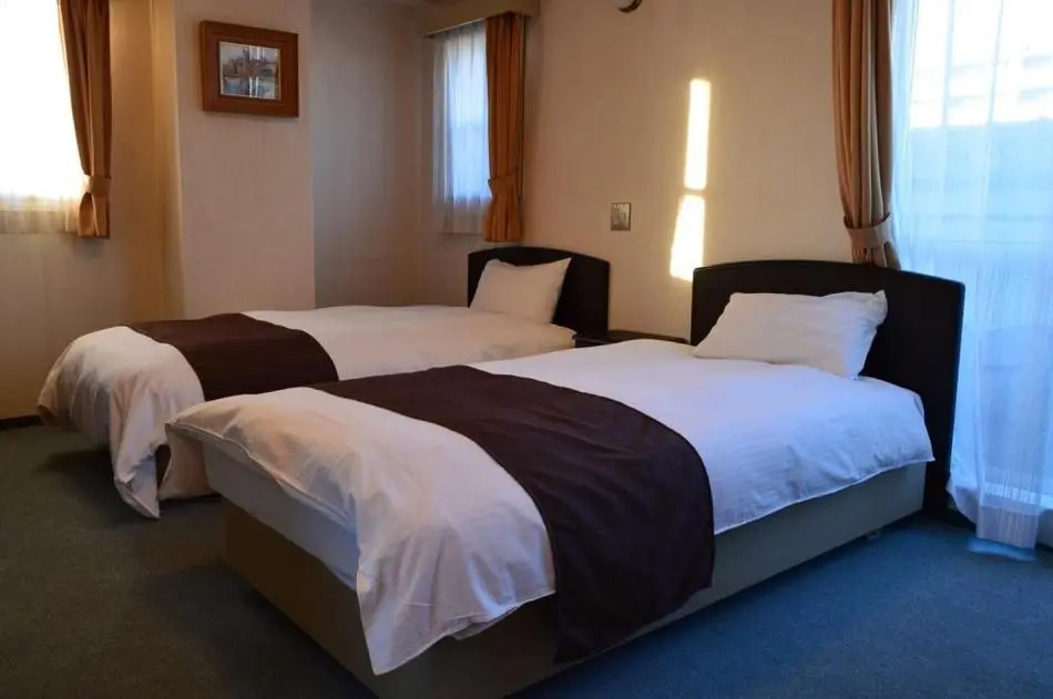 Standard Double room (twin beds)