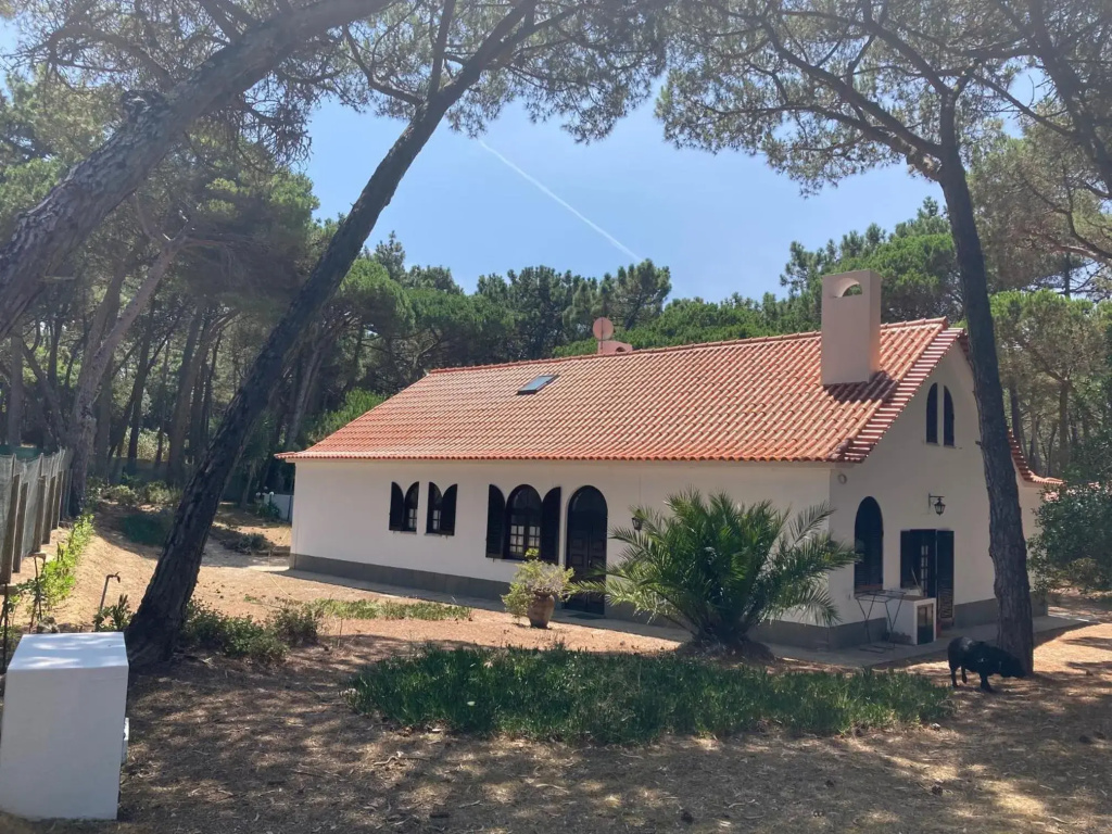 Moradia no Pinhal com Piscina - Espaço e Privacidade para as suas Férias!