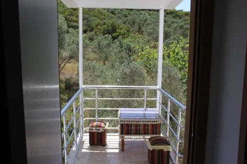 Balcony & Terrace