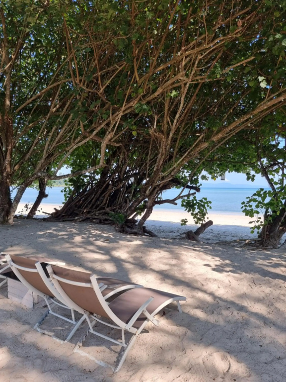 Payam Cottage Resort - фото 33
