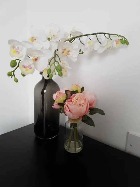 image url
