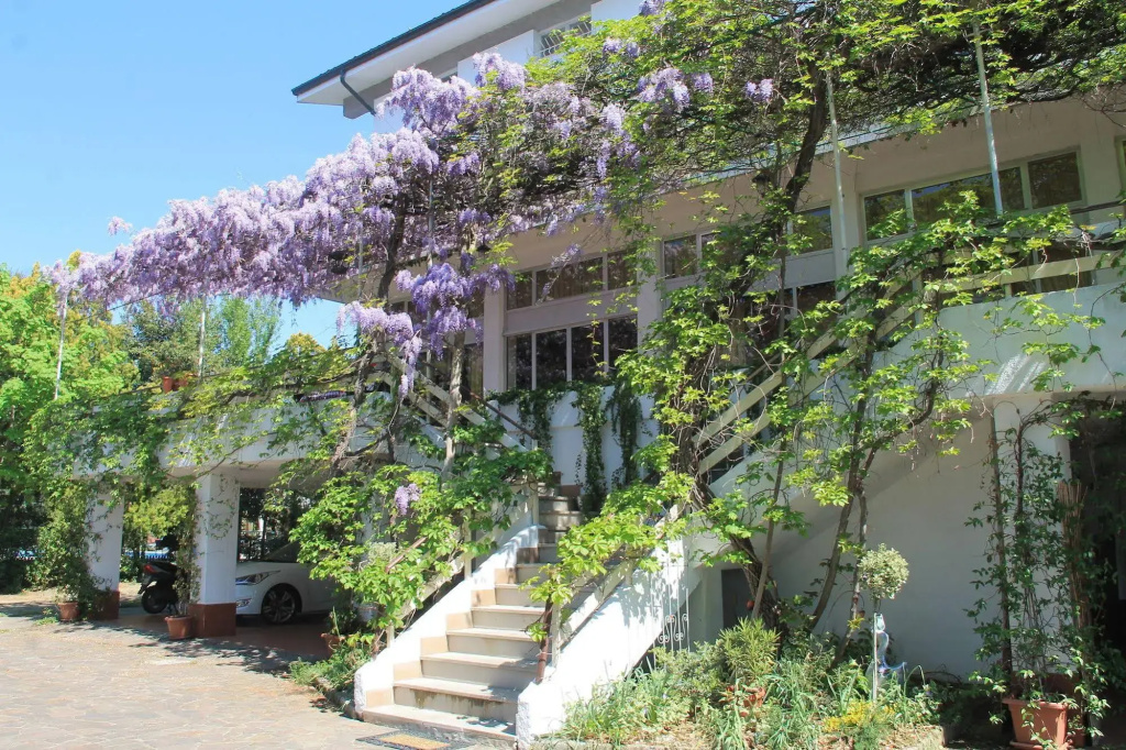 Hotel Ristorante Sole - Général
