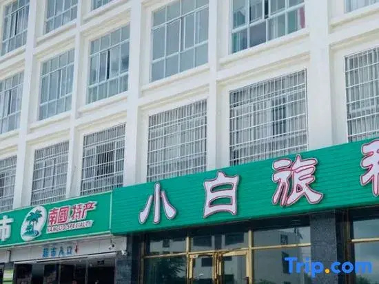 Xiaobai Hotel (Yiheng Night Market High Speed Rail Station)