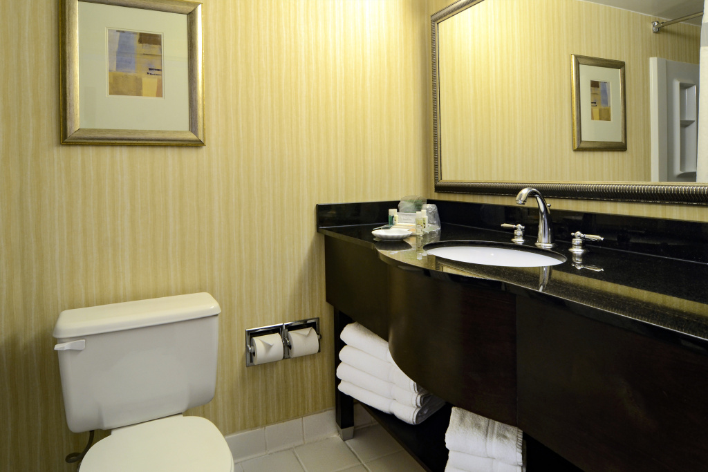 Holiday Inn Washington DC-Greenbelt MD by IHG - Général