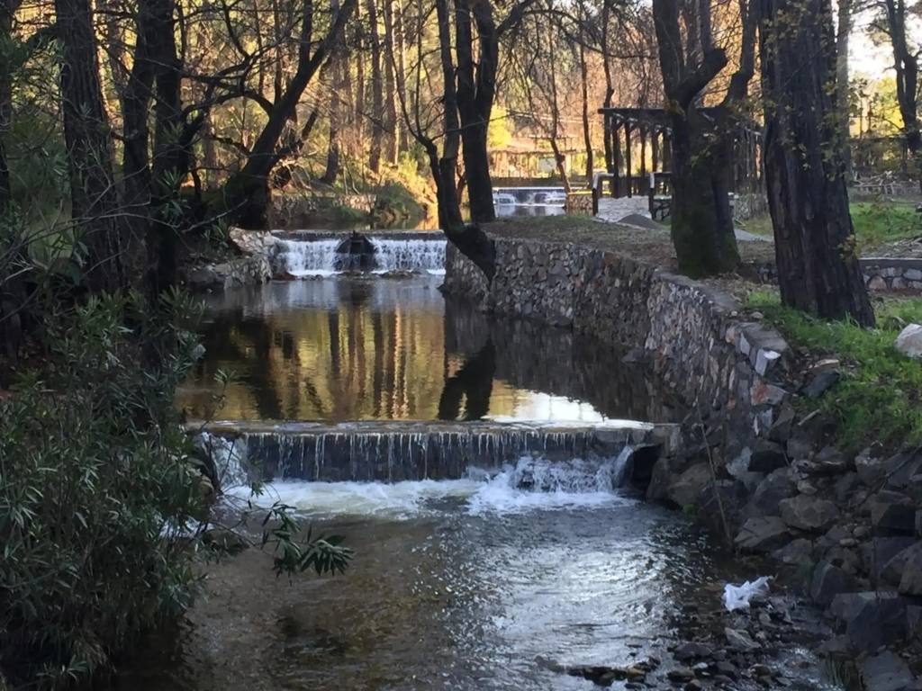 Dalya Life Hotel - фото 13