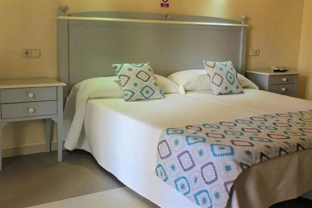 Standard Double room (twin beds)