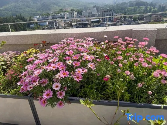 Lehu · Three-Bedroom Suite Apartment (Panzhou Wumeng Grassland)