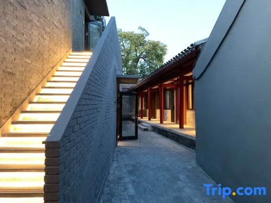 Balcony & Terrace