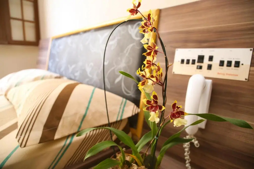 Hotel Hot - Chambres