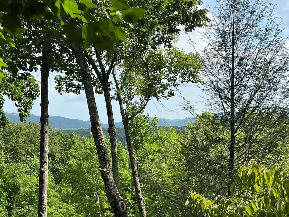 Restoration Retreat At Greenbrier 3 Bedroom Cabin by RedAwning