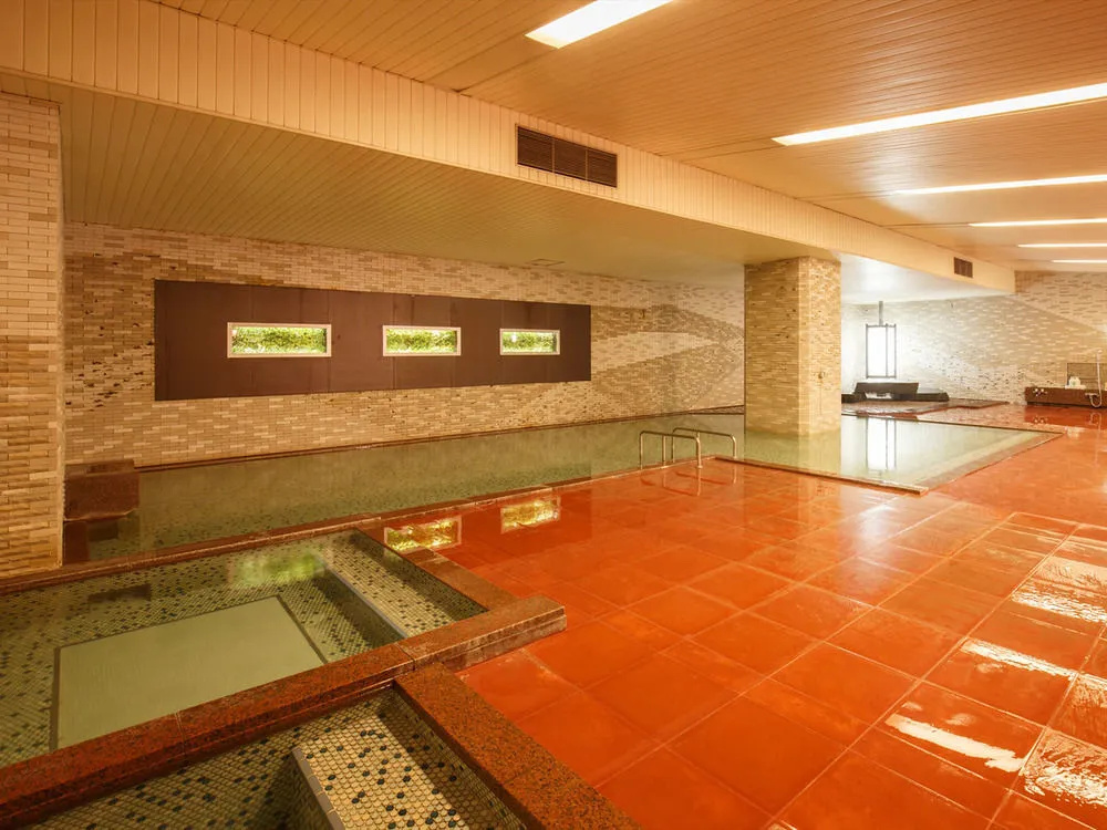 Hotel Senshukaku - фото 19
