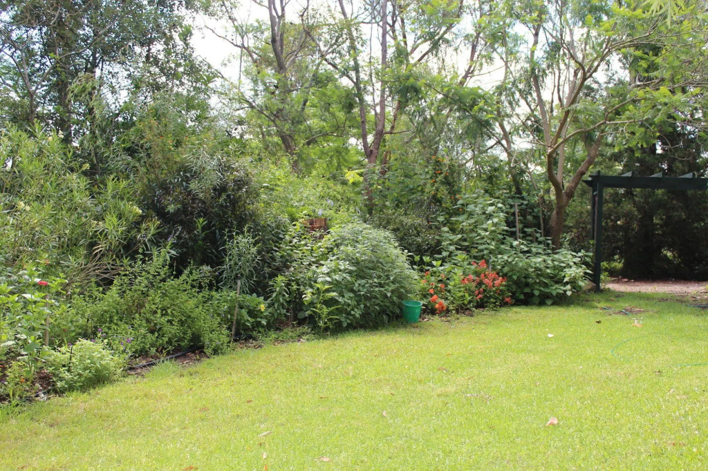 Image 39