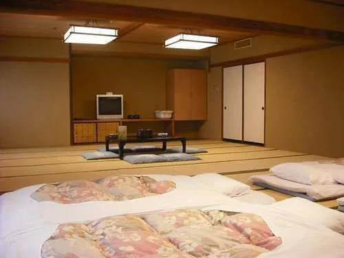 Ooedo Onsen Monogatari Wanwan Resort Awazu - Général
