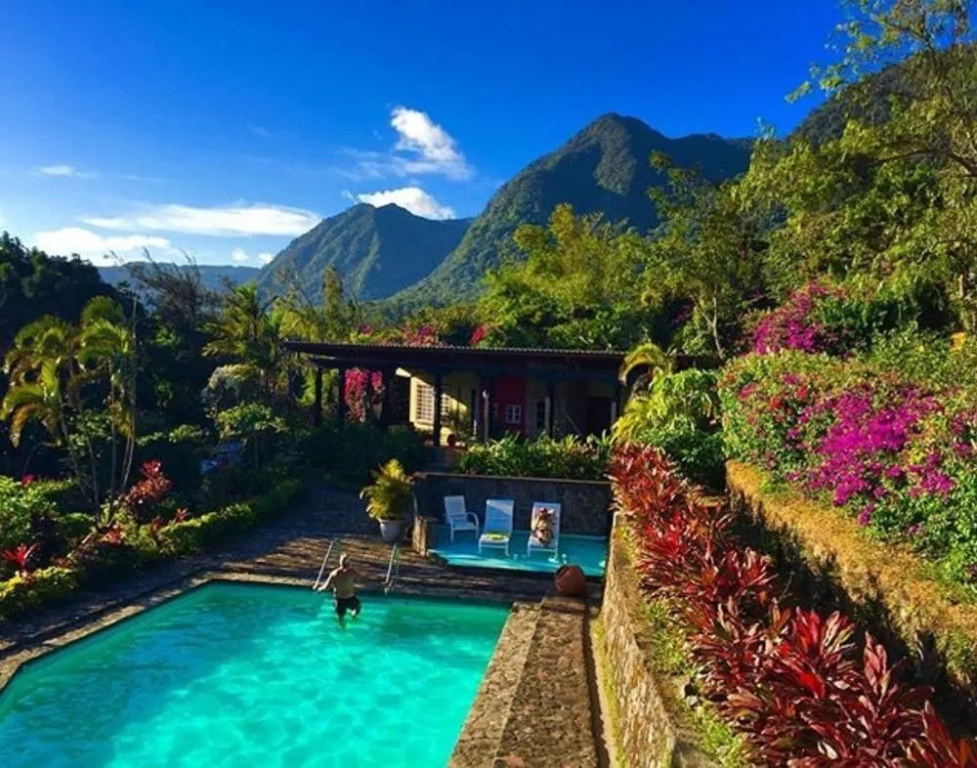 The Golden Frog Inn - Général