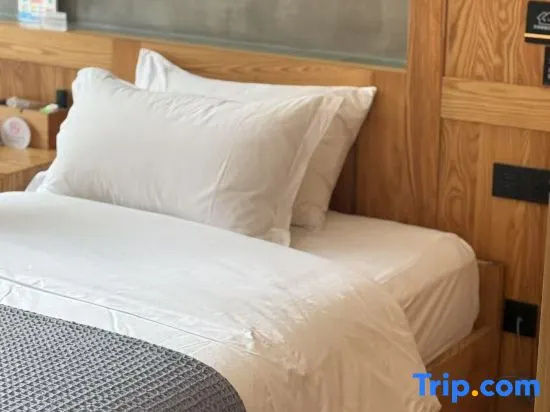 Standard Double room with courtyard view (twin beds)
