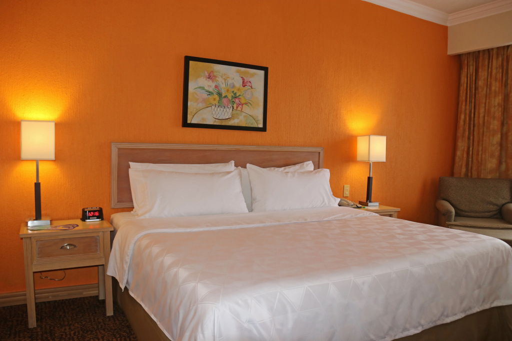 Holiday Inn La Piedad by IHG - Général