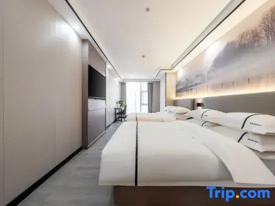 Premium Double room (twin beds)