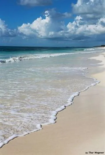 Beach & Waterfront