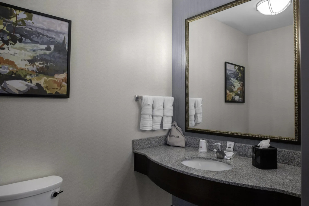 Hilton Garden Inn Denison/Sherman/At Texoma Event Center - Général