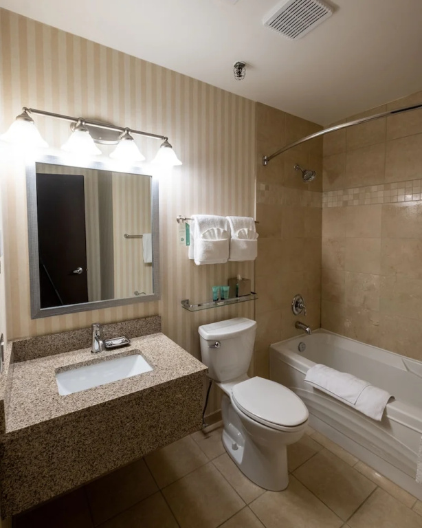 1 Bedroom Suite