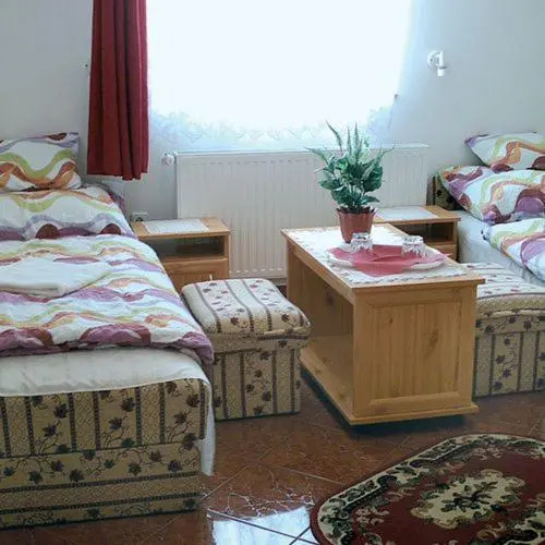 Vivien Panzio - фото 2