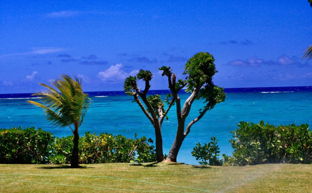 Cap Ouest by Horizon Holidays - Général
