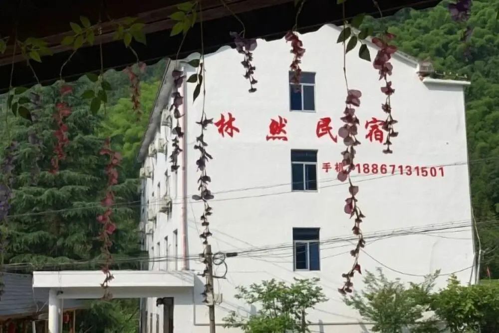 Tianmushan Old Lady Villa