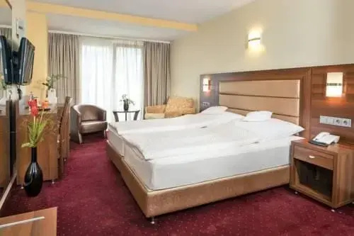 Hotel Meyerhof Lörrach - Général