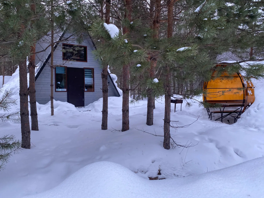 Избушка в лесу - фото 6