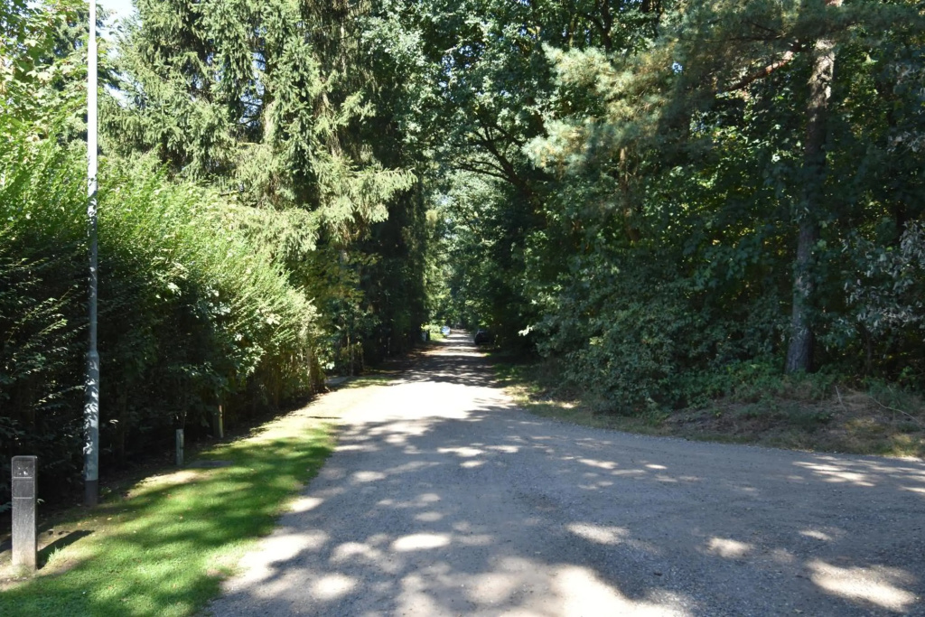 De Kleine Kriemelkuil {Het Herdertje}