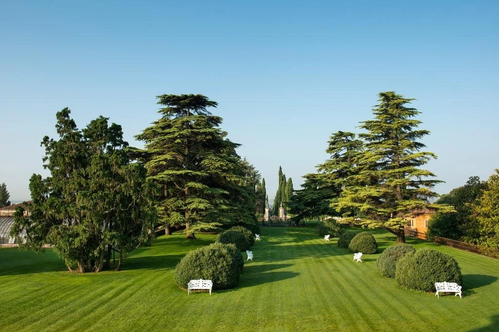 Villa D'Acquarone - фото 12