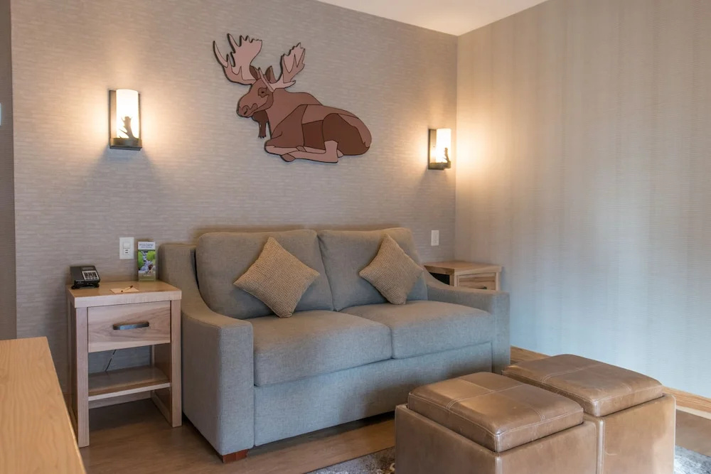 1 Bedroom Superior Double Suite (full double bed)