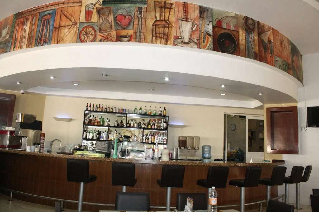 Hotel Maioris Guadalajara - Général
