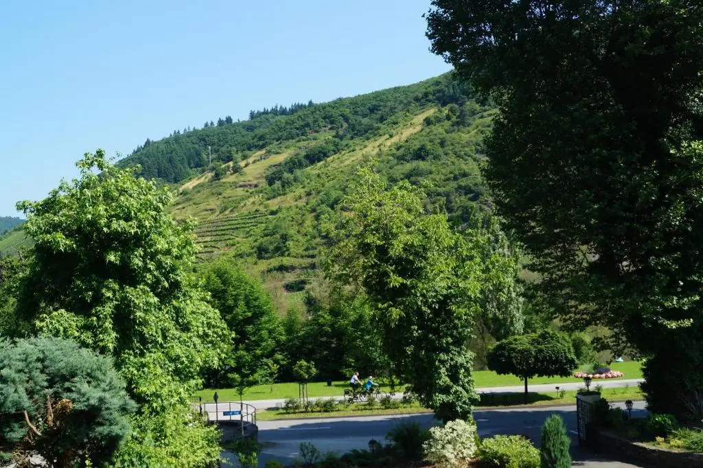 Parkhotel Cochem - Chambres