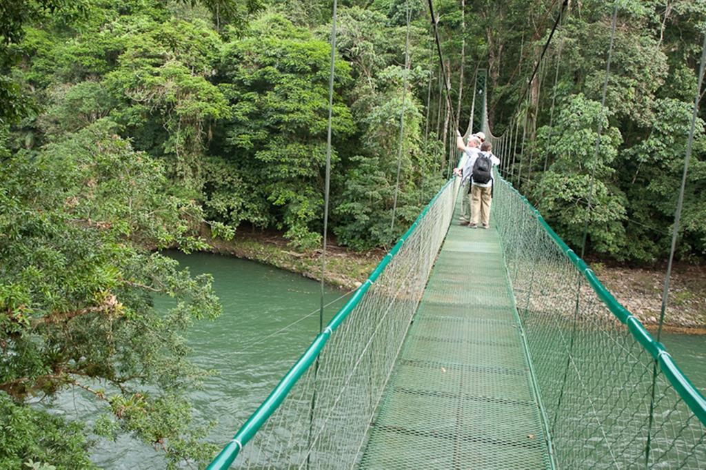 Selva Verde Lodge picture