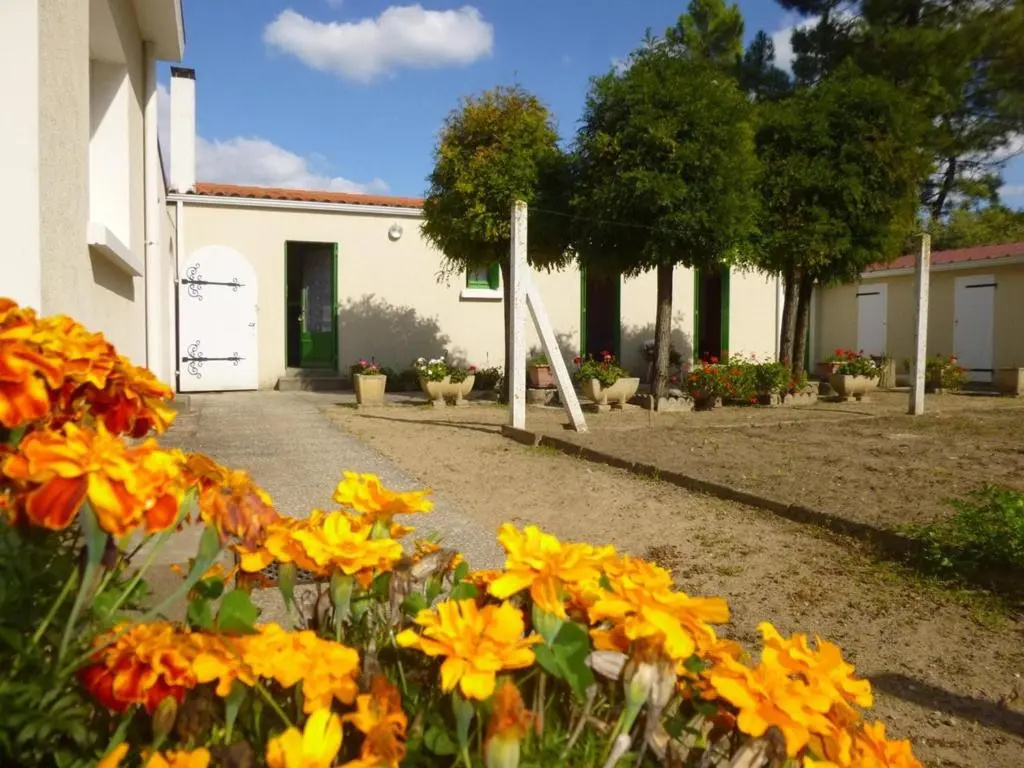 Maison Saint-Jean-de-Monts, 3 pièces, 4 personnes - FR-1-224C-63