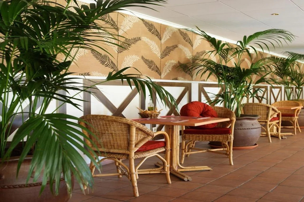 Luna Club Hotel Yoga & Spa - Général