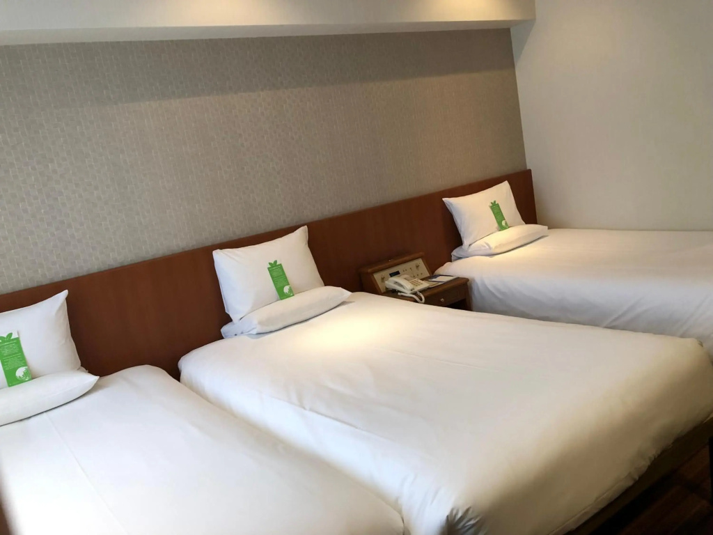 International Garden Hotel Narita - Général