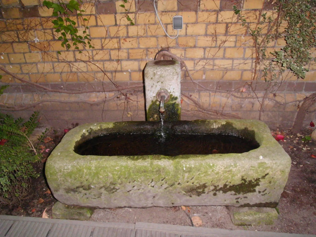 Image 12