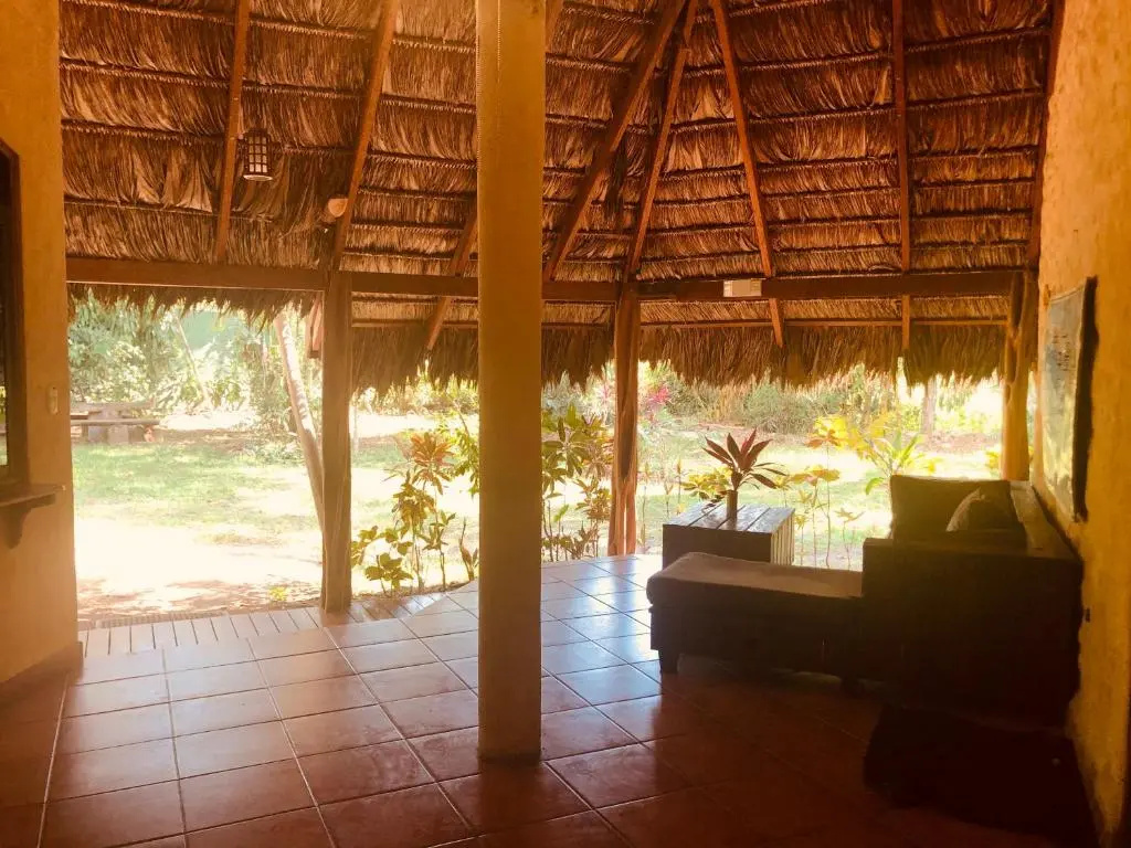Palapa Hut Hostel & Camping