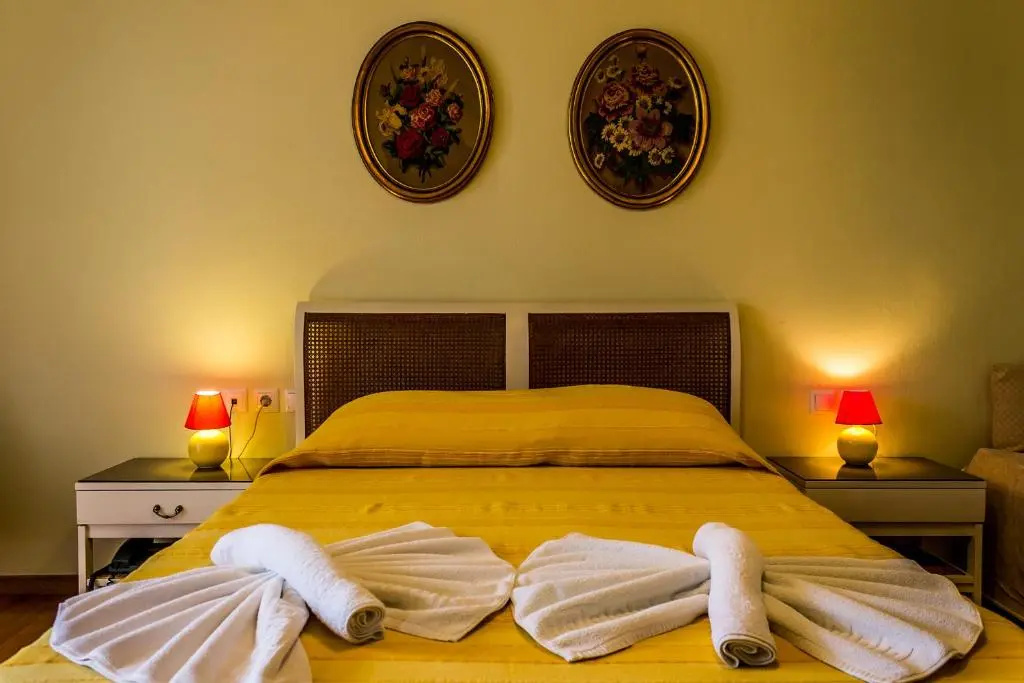 Standard Double room with city view (full double bed)
