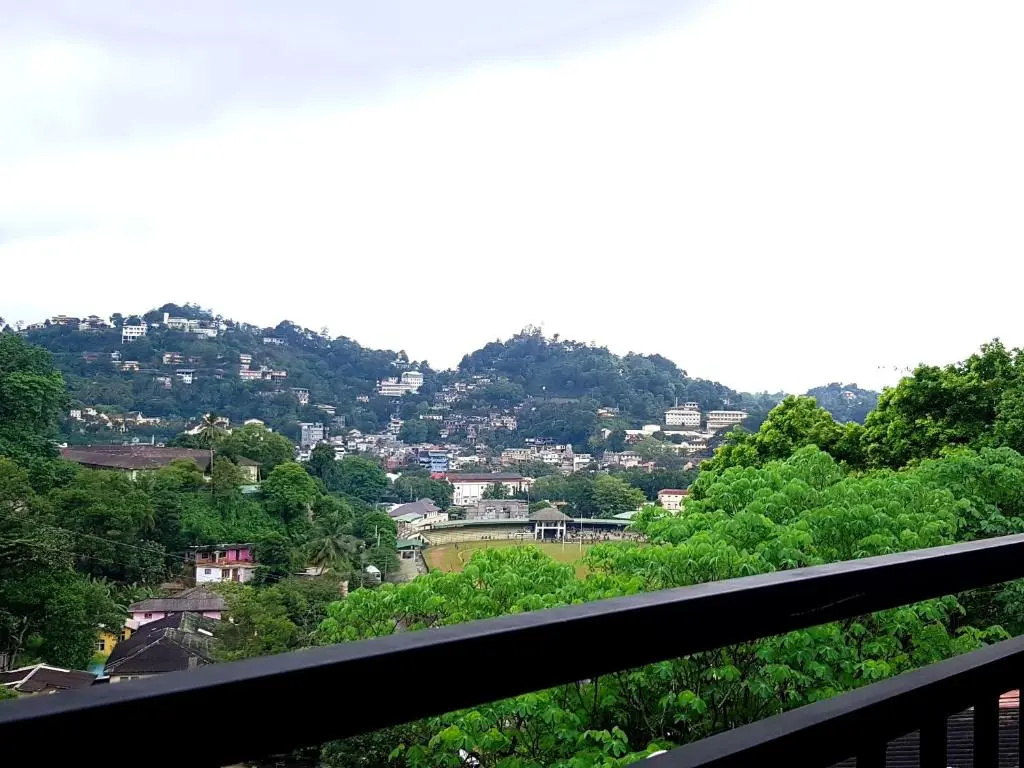 Standard Double room with mountain view (full double bed)
