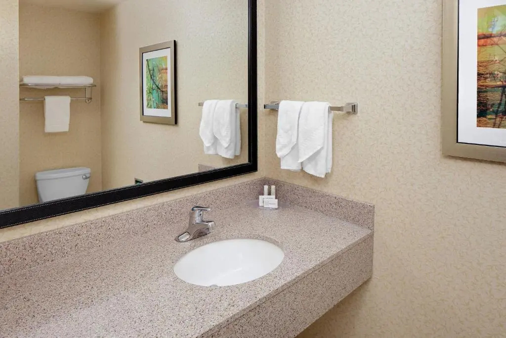Fairfield Inn & Suites by Marriott Detroit Metro Airport Romulus - Chambres