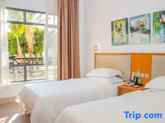 Standard Double room with city view (twin beds)
