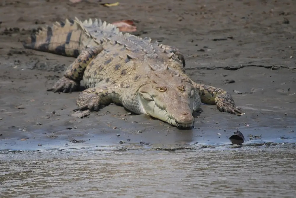 Cielo Lodge - фото 15