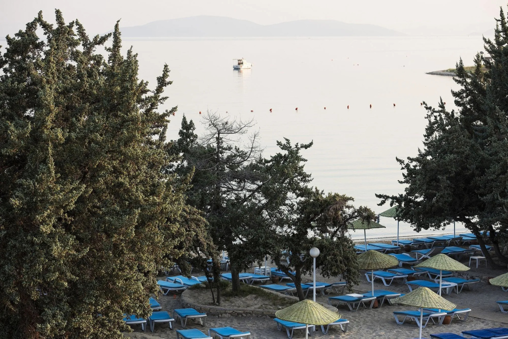 Beach & Waterfront