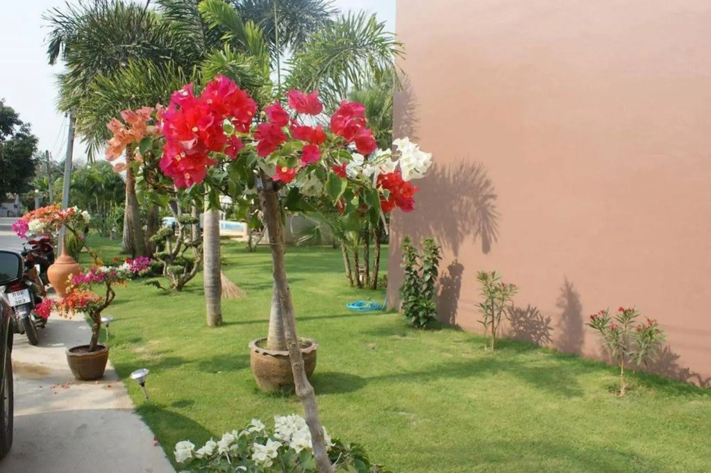 Hotel photo 42
