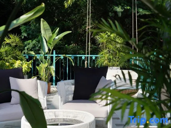 Balcony & Terrace