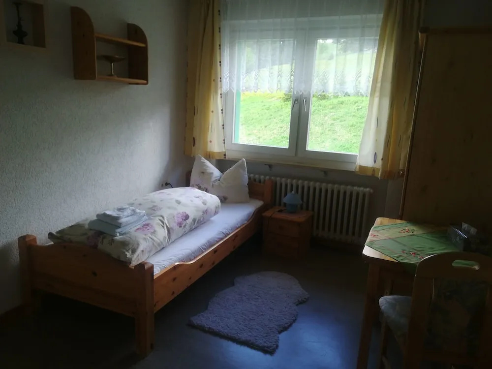 Berggasthof&Pension Zur Todtnauer Hütte - Général