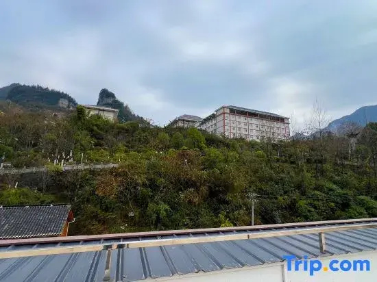 Wangyue Guanshan Homestay
